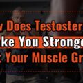 How Does Testosterone Make You Stronger? Boost Your Muscle Growth! UK