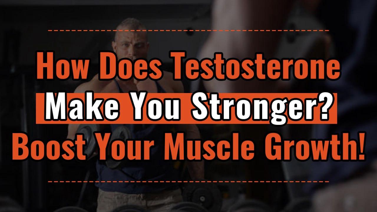 How Does Testosterone Make You Stronger? Boost Your Muscle Growth!